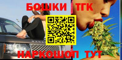 тгк Моздок